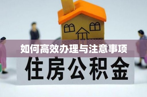 汝阳如何高效办理与注意事项