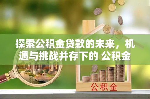 汝阳探索公积金贷款的未来，机遇与挑战并存下的 公积金贷款风险防控