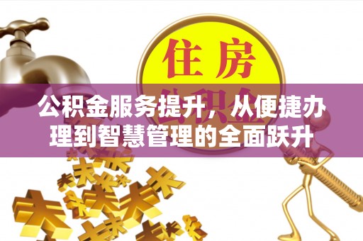 汝阳公积金服务提升，从便捷办理到智慧管理的全面跃升