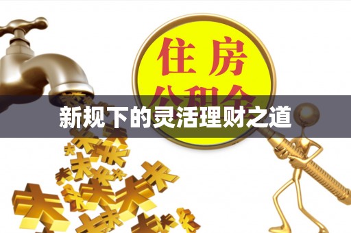 汝阳新规下的灵活理财之道