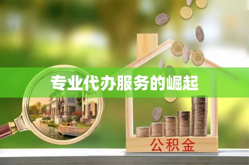 汝阳专业代办服务的崛起