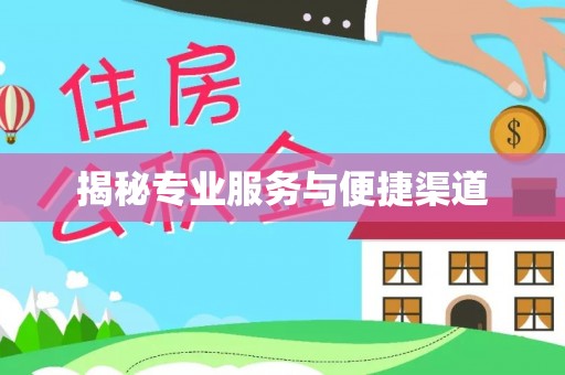 汝阳揭秘专业服务与便捷渠道