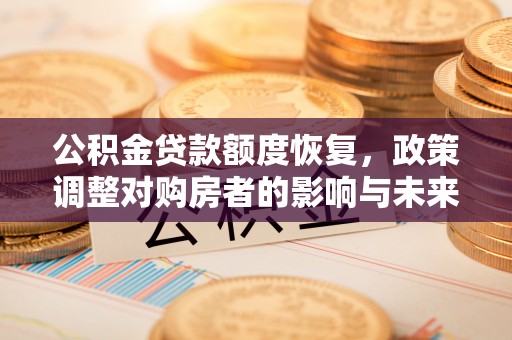 汝阳公积金贷款额度恢复，政策调整对购房者的影响与未来展望