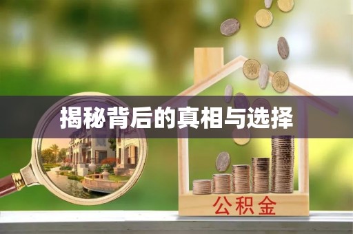 汝阳揭秘背后的真相与选择