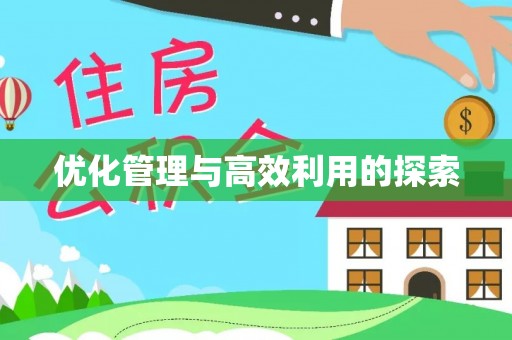 汝阳优化管理与高效利用的探索