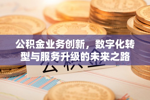汝阳公积金业务创新，数字化转型与服务升级的未来之路