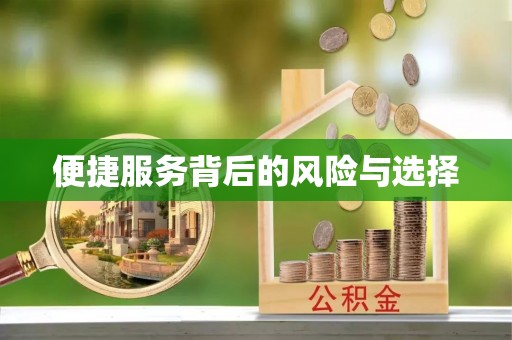 汝阳便捷服务背后的风险与选择